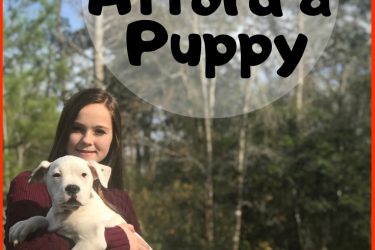 Have you ever wish to have a puppy? Check out our latest blog post for you on how to afford a puppy!